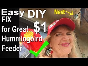 Dollar Hummingbird Feeder DIY FREE Perch Brings Birds See Nest on House-EASY Recipe for Hummingbirds