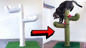 How to Make a DIY Cactus Cat Scratch Post Using PVC Pipes