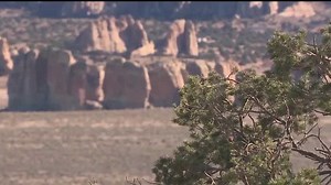 Acoma Pueblo Gov: Atrocities caused by Juan de Oñate left lasting impact