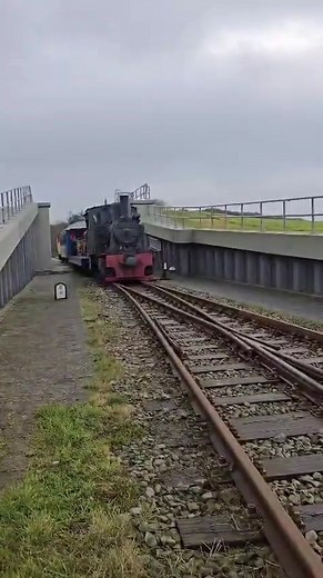 Evelyn Genuit on Reels