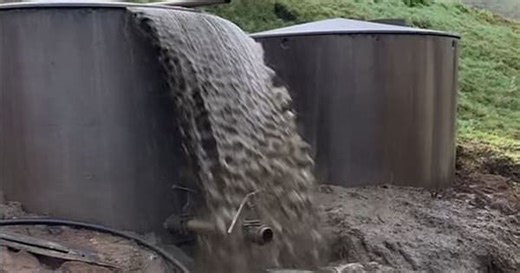 Pig farm hit with $430k fine for 'appalling' effluent pollution