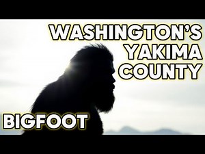 Yakima County Sasquatch Encounters | Structures, Audio & Prints | New Bigfoot Video 2025