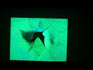 Bob The Builder Episode: Mr. Beasley's Do-it-Yourself Disaster