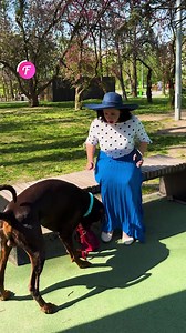 446K views · 5.5K reactions | She was busy scrolling… until a dog...