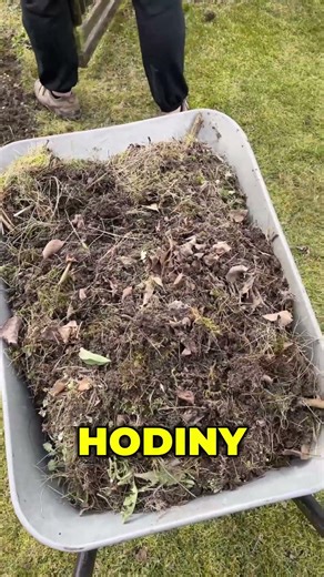 Zakázka – proměna zarostlých záhonů (45 m²) 🌿