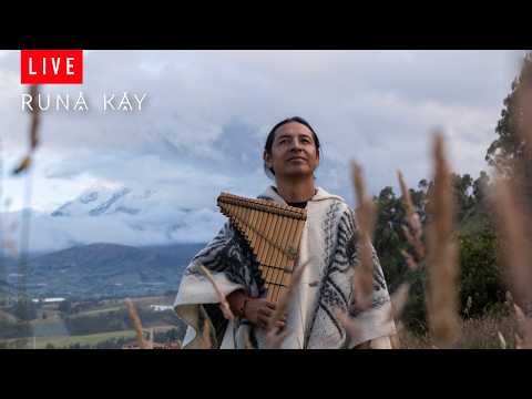 Native Wind Sounds🪶❤