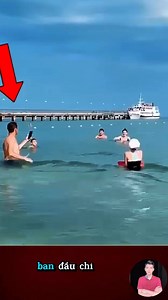 1.1M views · 10K reactions | Cá mập cầu cứu con người #reelsvn #hcvlog | HC Studio | Facebook