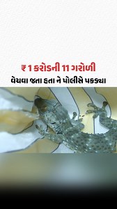 445K views · 2.8K reactions | રૂ. 1 કરોડની 11 દુર્લભ ગરોળી; શખસો વેચવા જ જતા હતા ને પોલીસે પકડ્યા | Gujarat Samachar #Wildlife #MonitorLizard #Assam #AnimalTrafficking #GujaratSamachar | Gujarat Samachar | Facebook