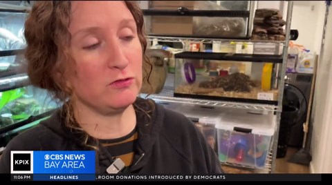 San Francisco wildlife rescue nonprofit raising money for needed upgrades
