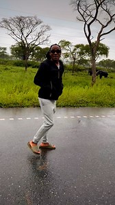 78K views · 3K reactions | We had lunch with the elephants | REAL LIFE Family | Facebook