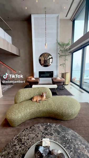 🐕 | adam without the mask