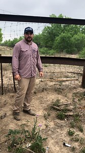 7.3K views · 113 reactions | The impacts of the crisis along the...