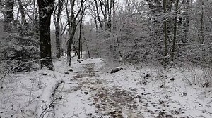 La prochaine fois je penserai à amener des skis pour la descente.☃️❄️🎿 Descente du Col de St Pilon au Plan D'Aups ( Massif de la Sainte-Baume)😍🤩 🎥 Bienvenue-a-marseille.com | Bienvenue à Marseille
