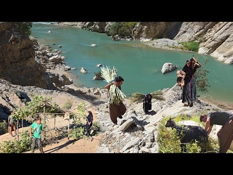 Saving a goat at the moment of death | The harsh nomadic life and building a hut by the river