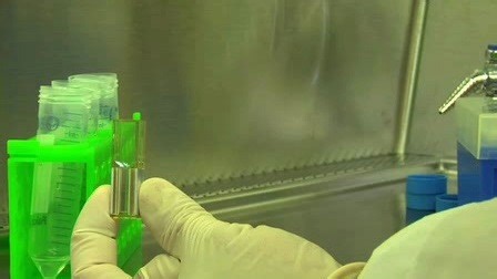Using the Gene Pulser MXcell Electroporation System