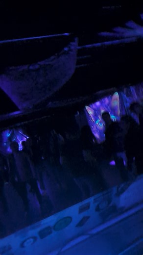 SETI Project - Smoke Some Shit live on 07.11.2025 for Psychedelic Love Events #setitranceproject #psychedelictrance #psytrance #psytrancefamily #psytranceparty #goatrance #liveact #psytrancefestival #psytrancemusic | SETI Project