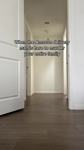 Tofu & Boshi the Corgis on TikTok