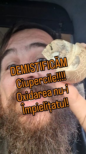 1.2K views · 72 reactions | #naturănuspitale 慄‍♂️Demistificăm ciupercile: Oxidarea nu-i toxicitate! Distribuie ca să salvezi vieți! . 欄Vă mulțumesc tuturor celor datorită cărora din 2017 fac educație despre ciuperci. ☠️E necesară educația asta fiindcă anual mor oameni și se umplu toamna spitalele de intoxicați. Hai pe Anunțătorul de ateliere de pe ursit punct ro - e gratis și mă convingi să vin la tine-n zonă cu educație pe viu! | Ursit | Facebook