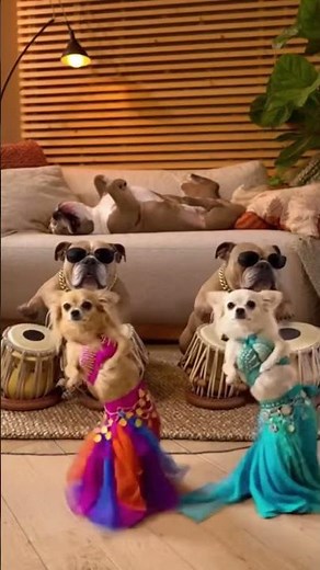 Create Viral Chihuahua Dance AI Video