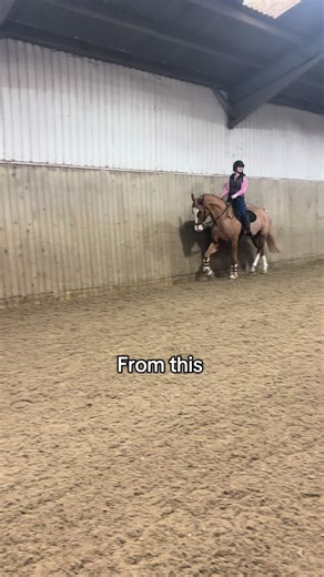 Transforming Equine Skills in Just 2 Weeks