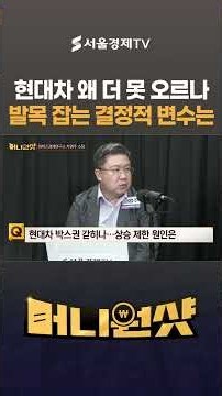 현대차 왜 더 못 오르나…상승랠리 발목 잡는 결정적 변수는 (차영주 소장 / 와이즈경제연구소)