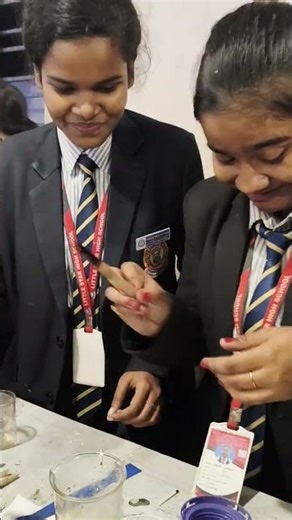 #scienceexperiment #scienceexhibitionmodel #chemistry #chemicalreactions #schoolexhibition