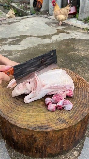 How to Cut Chicken Perfectly Every Time 1279 #knifeskills #butcher #chicken #shorts