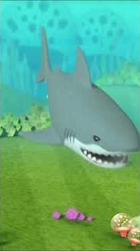 @Octonauts - 🐬 Dolphin vs Shark 🦈 | Underwater Sea Education | #shorts