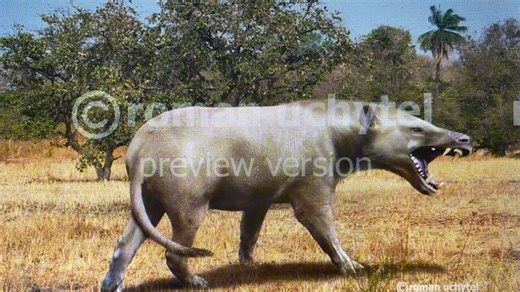 安氏中兽发生复原