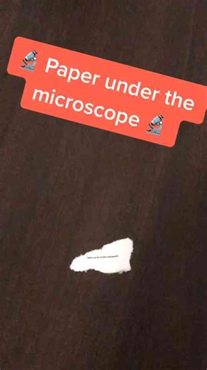 The Micro World Like You’ve Never Seen Before - Stunning Views