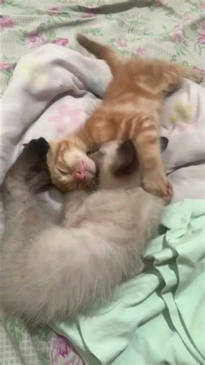 22 de março de 2026