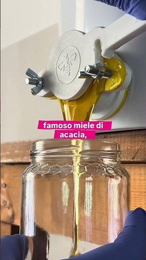 🤔Conosci la robinia pseudoacacia? È da quella pianta che nasce il miele di acacia 🍯🐝