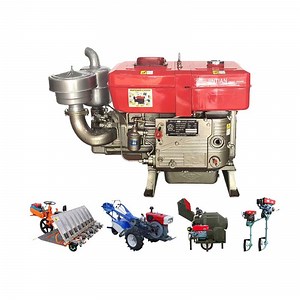 [Hot Item] Zs1125 25 HP 1 Cylinder Horizontal Diesel Engine 25HP for Sale