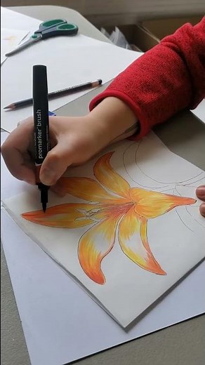 Using Winsor & Newton Promarkers