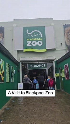 🦁 Discover the wild wonders of Blackpool Zoo! Perfect for families, animal lovers, and fun-seekers. An adventure awaits around every corner! 🐘🌿 #BlackpoolZoo #WildlifeAdventure #FamilyFun #ExploreNature #summer2026