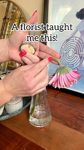Save Money with these Flower Hacks! 🌼Simple solutions to keep your blooms fresh longer! 💐 #daffodils #daisy #florist #tipsandtricks #lifehack | Jeff & Lauren
