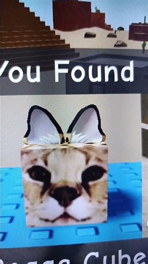 Sogga Cube Find The Every Floppa Morphs 52