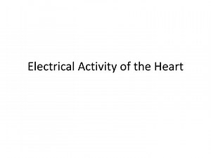 Electrical Activity of the Heart - SlideServe