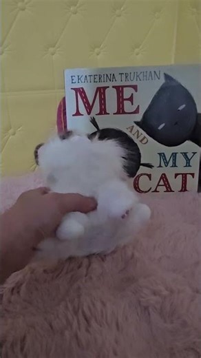 Lets read a pet book || me and my cat || kids read aloud books || pets stories