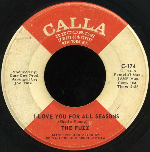 The Fuzz - I Love You For All Seasons