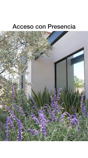 11K views · 208 reactions | Casa Moderna en San Miguel de Allende |...