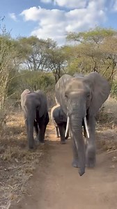 394K views · 19K reactions | Ladies, now let's get in formation! In...