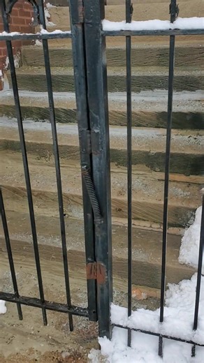 1.1K views · 20 reactions | Gustavo Guallpa on Reels | Facebook