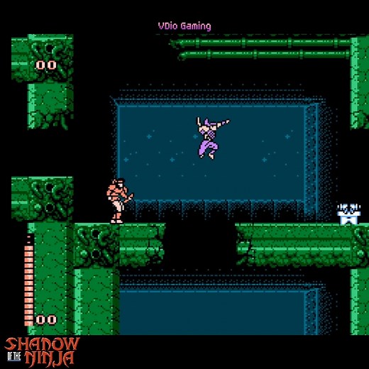Shadow of the Ninja (NES) - Stage 3 - The Rooftops of the City | Gameplay #shadowoftheninja #kage #blueshadow #nes #nesgames #retrogaming #retrogames #fblifestyle #gamingcommunity #classicgaming #gaming #classicgames #vdiogaming #nintendo #natsume | VDio Gaming
