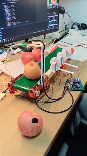 Arduino + AI: Sorting Bad Apples 🍎🤖 #arduino #tech #diy