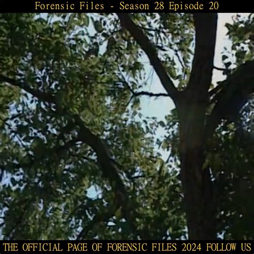 3.4K views · 55 reactions | Forensic Files 2024 on Reels | Facebook