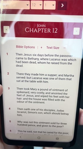 John Chapter 12 Read Aloud Holy Bible with text/audio