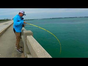 This Never Happens! | Florida Bridge Fishing Gets Wild