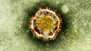 Chris will break down the latest on the corona virus with Dr Anthony Fauci, Director of NIAID. Plus Bernie Sanders joins Chris to talk 2020 politics after a major shift in the Democratic field vying for the nomination. Check your local listings. #FNS #FOXNews | Fox News Sunday