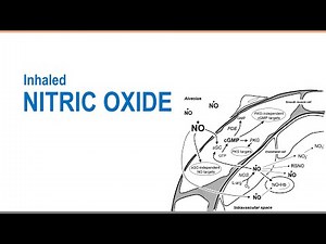 iNO (Inhaled Nitric Oxide)